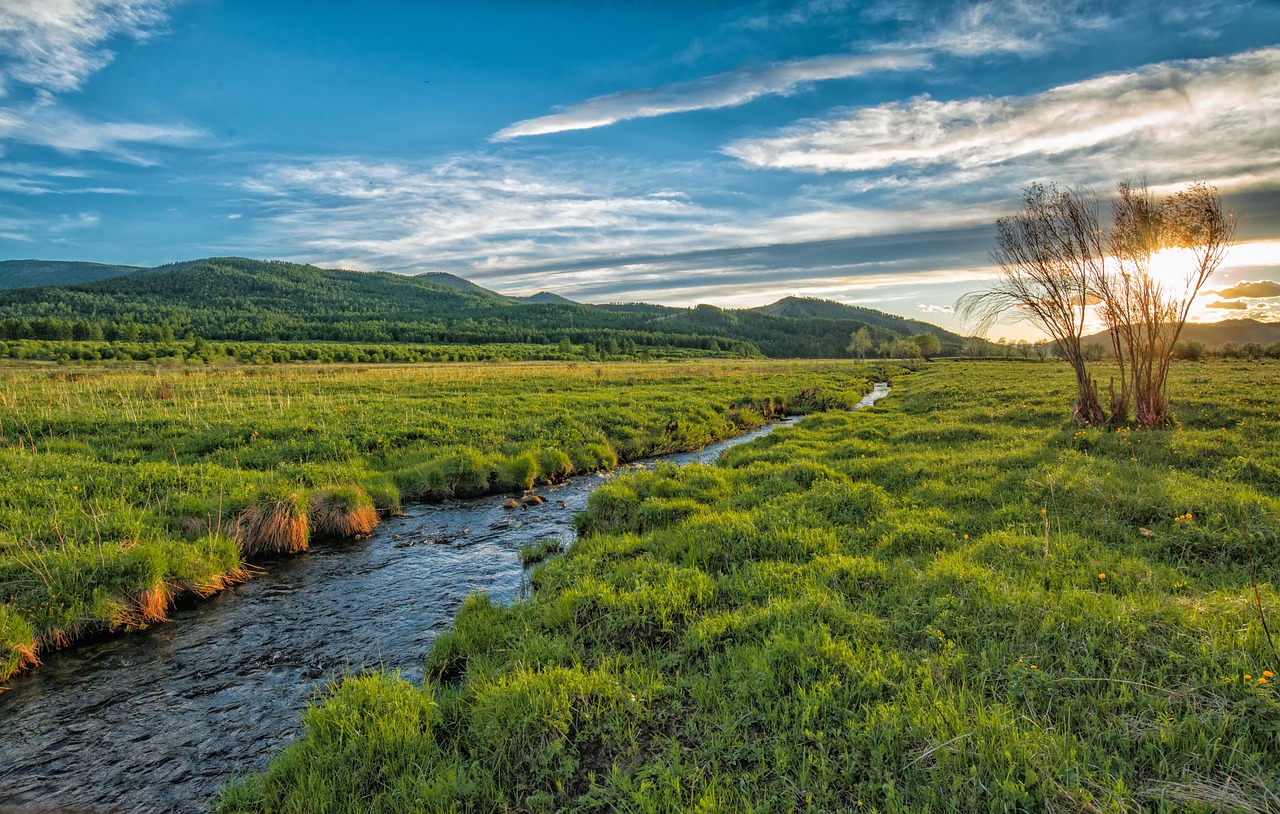 sunset, nature, stream, green meadow, june, bogart village, mongolia