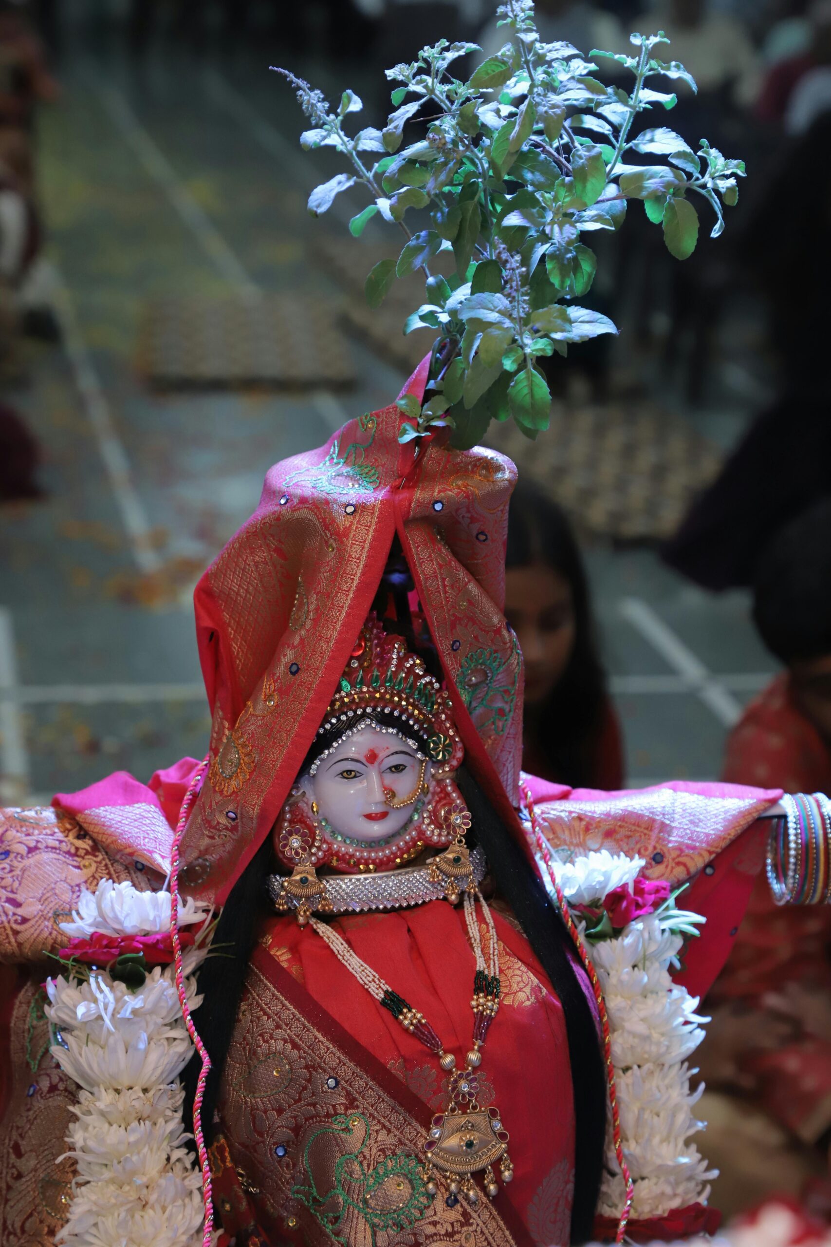 A vibrant image of Tulsi plant worship in Dhari, reflecting rich cultural heritage and tradition.